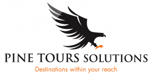 Pine tours Solutions